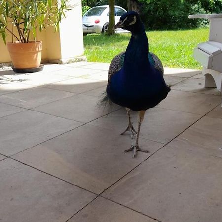 Schloss Tressow Bobitz Екстериор снимка